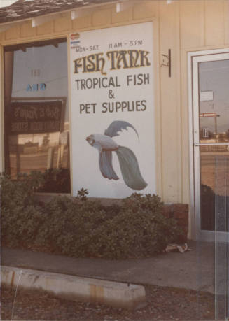 Fish Tank - 2043 East University Drive, Tempe, Arizona