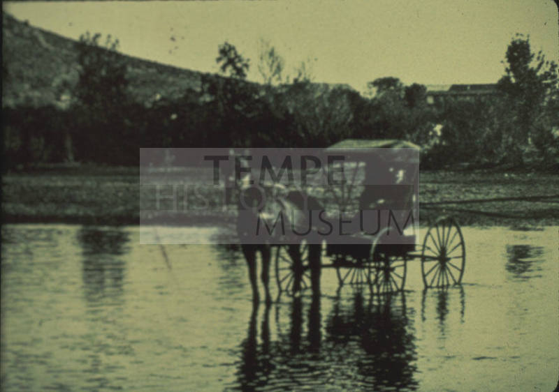 Horse and Buggy in Salt River