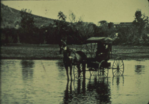 Horse and Buggy in Salt River