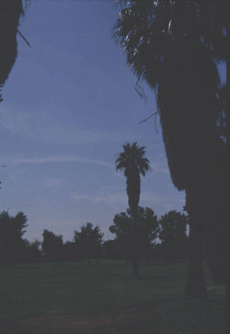 Shalimar Golf Course-Tempe, AZ