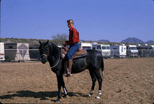 All Arabian Horse Show- Scottsdale, AZ