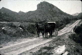 Horse and Buggy on the Apache Trail- AZ