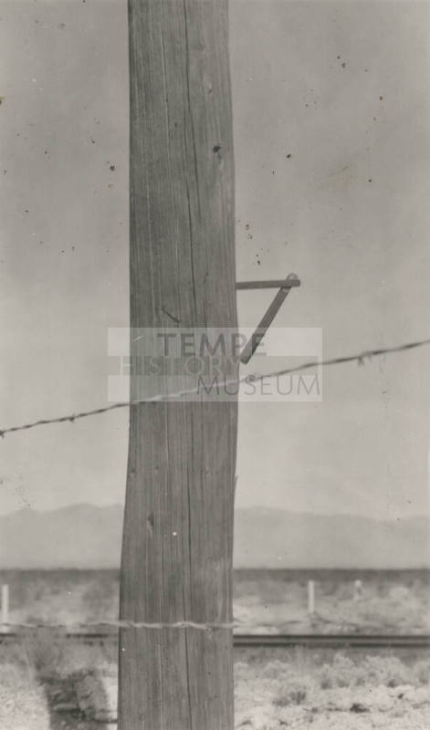 Photo- wooden power line pole