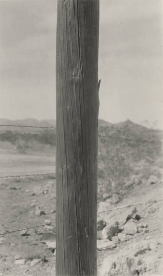 Photo- wooden power line pole