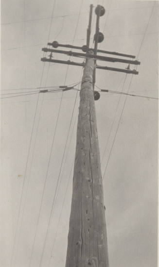 Photo- power pole with crossbars and power lines