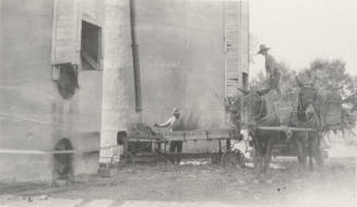 Photo-View of two men chopping corn and blowing corn into silo