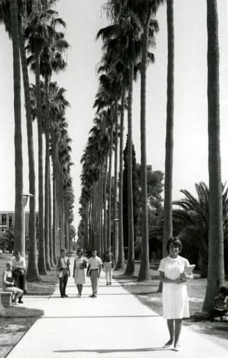 Palm Walk 1968 at Arizona State University