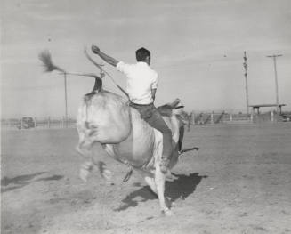 Bull Rider on Bull
