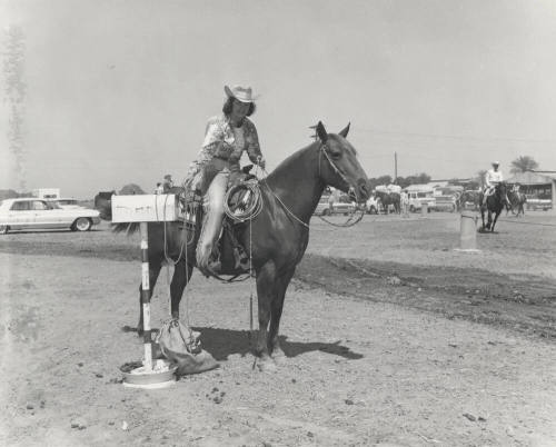 Woman Calf Roper on Horse at Rodeo