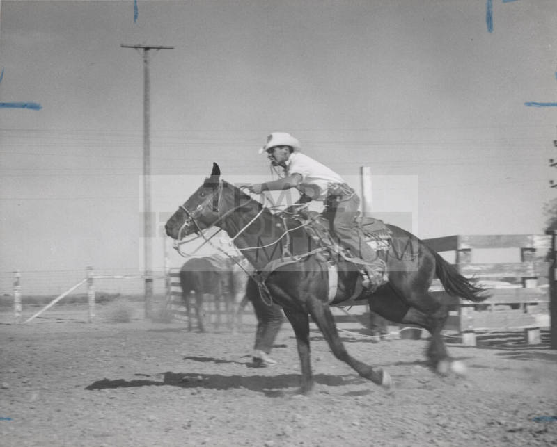 Calf Roper John Nickerson Starts His Run
