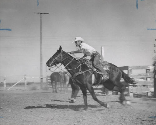 Calf Roper John Nickerson Starts His Run