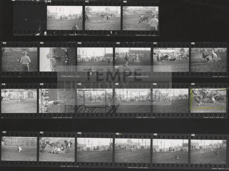 Contact Prints of a Series of Rodeo Scenes