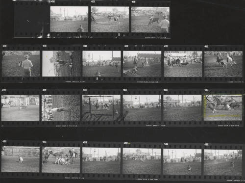 Contact Prints of a Series of Rodeo Scenes