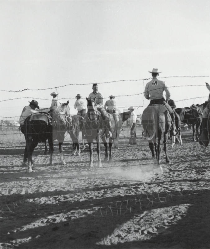Rodeo Contestants Preparing for a Ride