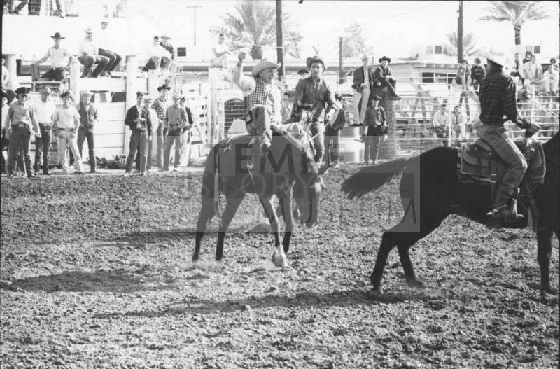 Bareback Rider on a Bronc