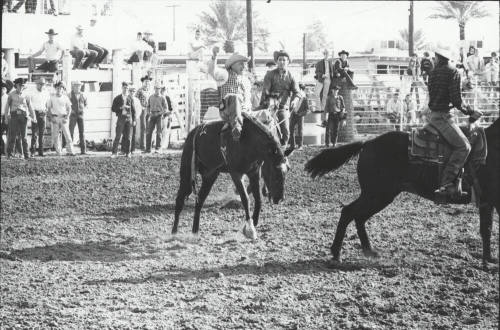 Bareback Rider on a Bronc