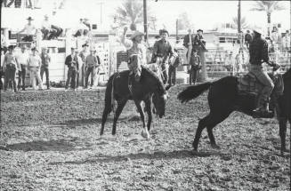 Bareback Rider on a Bronc