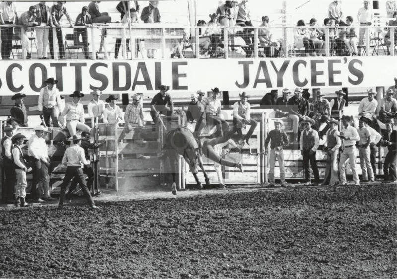 Bareback Rider Gets Thrown