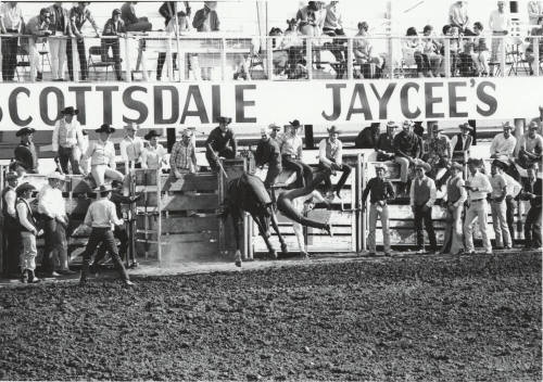 Bareback Rider Gets Thrown