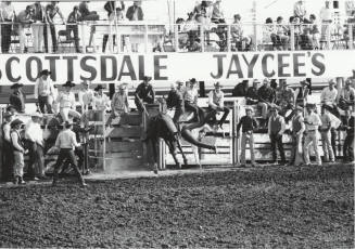 Bareback Rider Gets Thrown