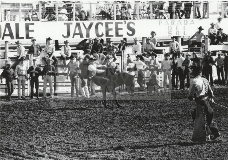Bareback Rider Gets Thrown