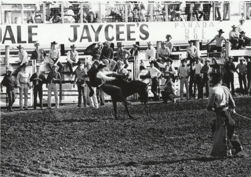 Bareback Rider Gets Thrown