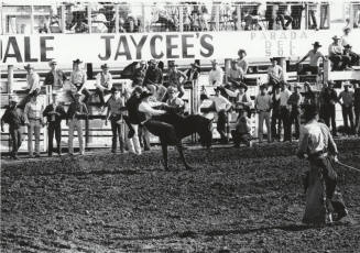 Bareback Rider Gets Thrown