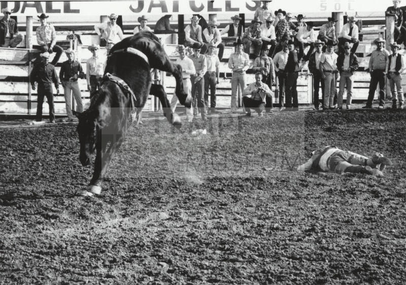 Bareback Rider Gets Thrown