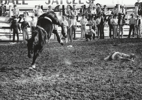 Bareback Rider Gets Thrown