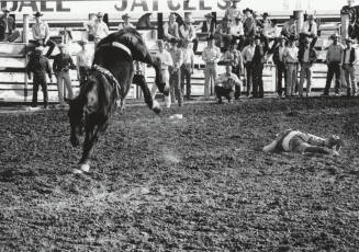Bareback Rider Gets Thrown