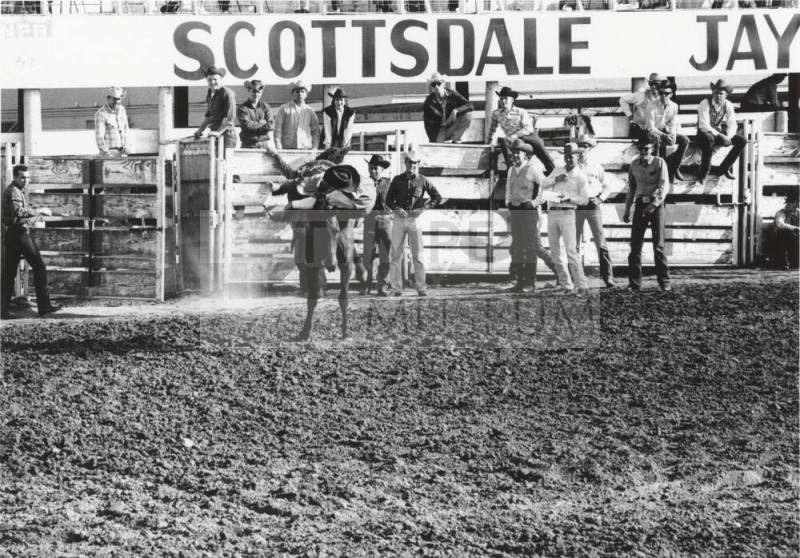 Bareback Rider Gets Thrown