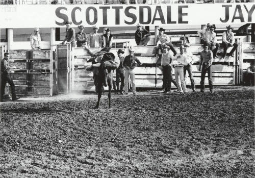 Bareback Rider Gets Thrown