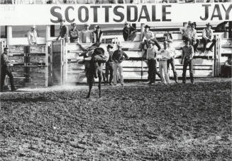 Bareback Rider Gets Thrown
