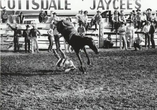 Bareback Rider Gets Thrown