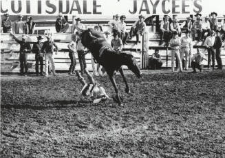 Bareback Rider Gets Thrown