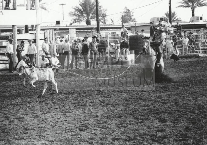Calf Roping