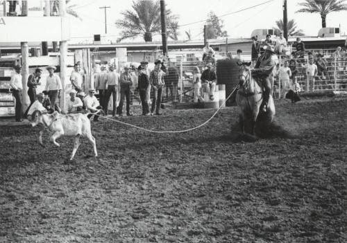 Calf Roping