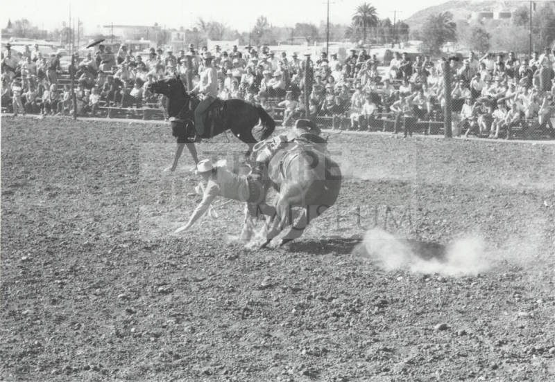 Saddle Bronc Rider is Thrown