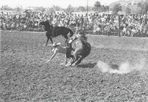 Saddle Bronc Rider is Thrown