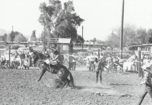 Saddle Bronc Rider is Thrown