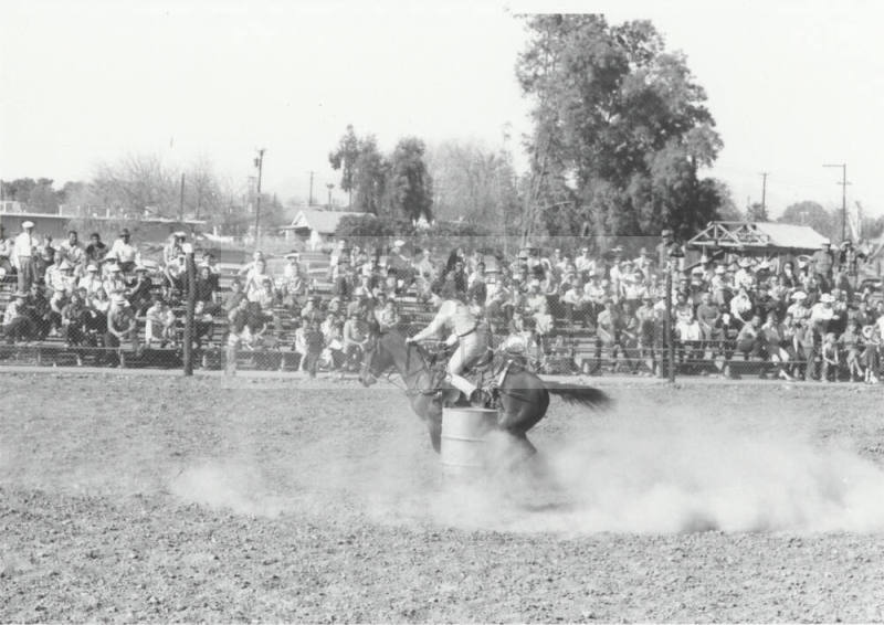 Barrel Racer at the Rodeo