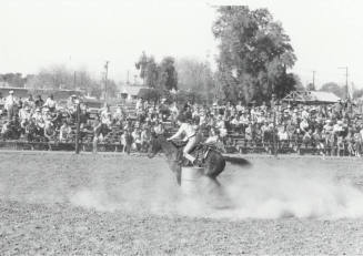 Barrel Racer at the Rodeo