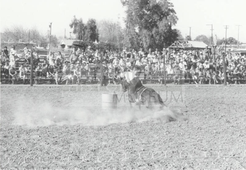 Barrel Racer at the Rodeo