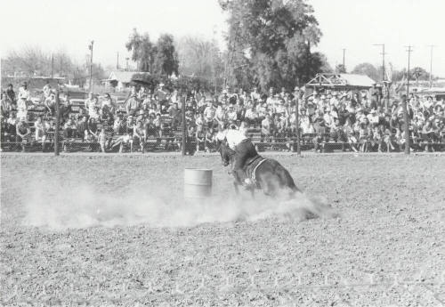 Barrel Racer at the Rodeo