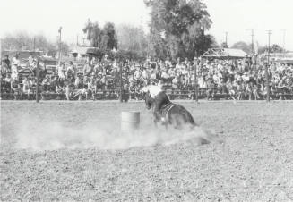 Barrel Racer at the Rodeo