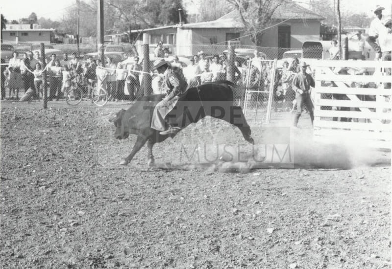 Bull Rider at the Rodeo