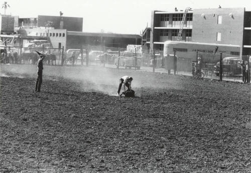 Calf Roping at Rodeo
