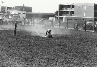 Calf Roping at Rodeo