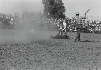 Calf Roping at the Rodeo