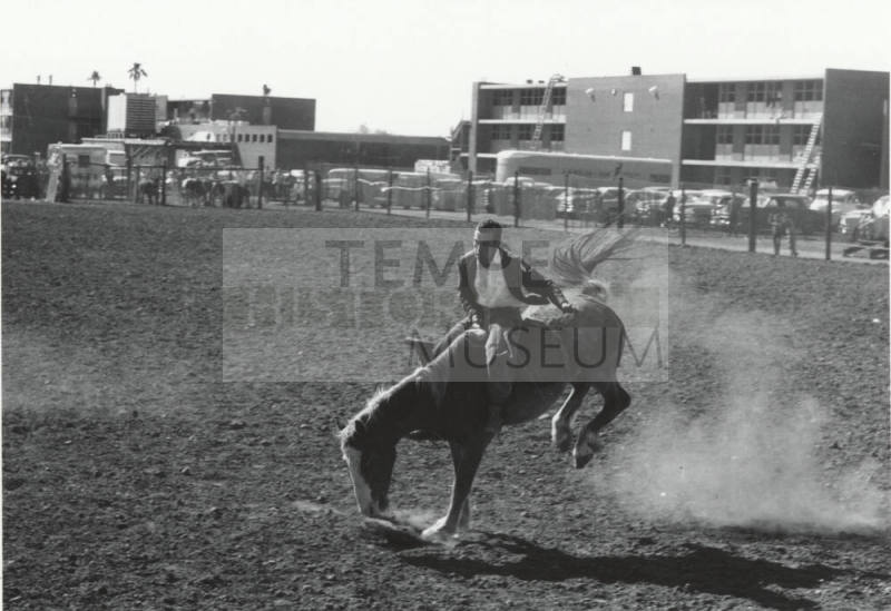 Bareback Rider at the Rodeo